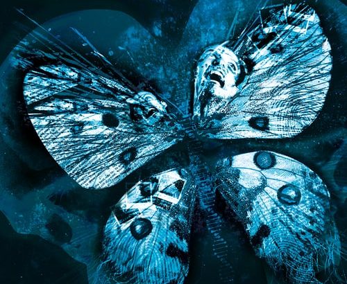 Plakat von "Butterfly Effect 3 - Die Offenbarung"